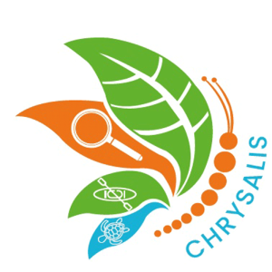 Chrysalis
